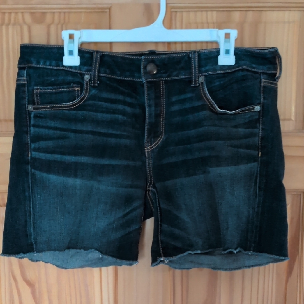 American Eagle Outfitters Dark Wash Jean Shorts